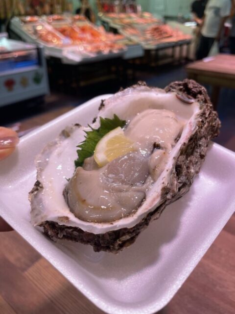 福井市へ行ってきました🐠